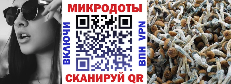 Галлюциногенные грибы прущие грибы  купить   МЕГА ТОР  Иноземцево 